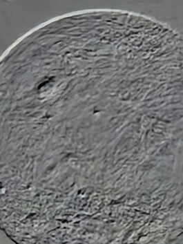 studio pointer* - A Thousand Phantom Moons: an investigation into concealed superresolution mechanisms