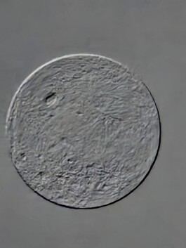 studio pointer* - A Thousand Phantom Moons: an investigation into concealed superresolution mechanisms