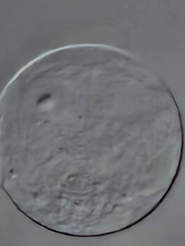 studio pointer* - A Thousand Phantom Moons: an investigation into concealed superresolution mechanisms